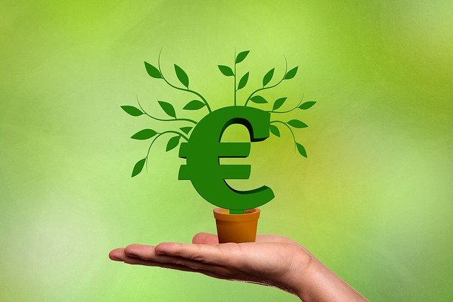 Euro Growing